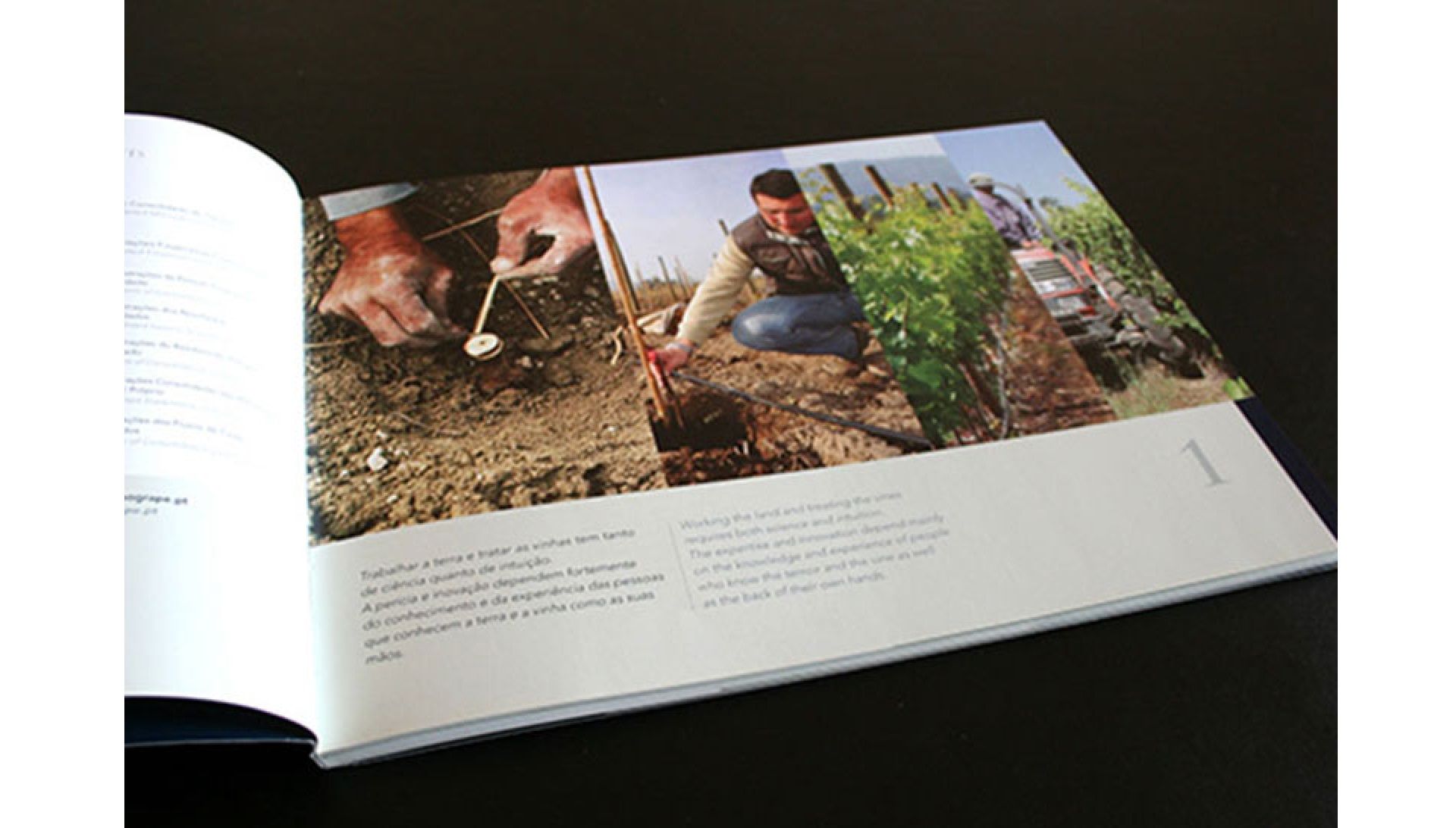 Catalogo empresarial realizado por nosotros.